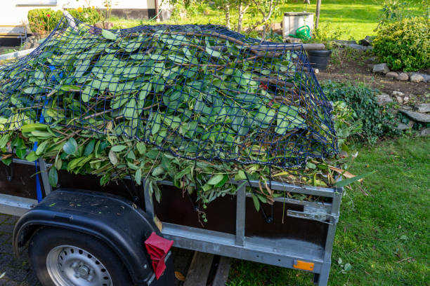 Best Carpet Removal and Disposal  in Coldwater, MI
